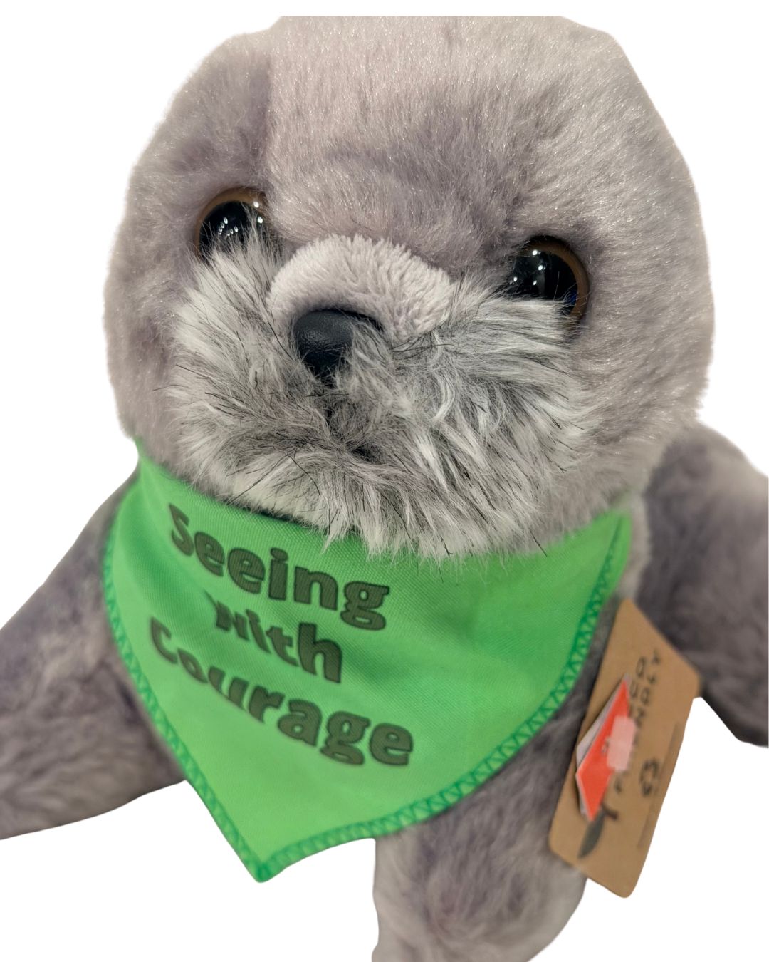 Seeing With Courage Sea Lion